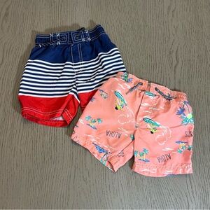 Carters‎ Kids Boys Striped and Tropical Print Swim bottoms size 2T